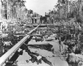 Apalachicola Northern Railroad company workers filling a swamp - Apalachicola, Florida.