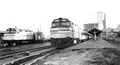 Amtrak trains at terminal - Tampa, Florida.
