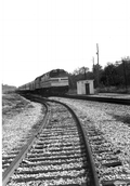 Amtrak Silver Meteor at Orange City Junction - Orange City Region, Florida