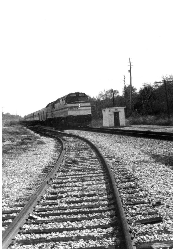 Amtrak Silver Meteor at Orange City Junction - Orange City Region, Florida