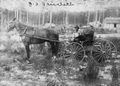 J.B. Faircloth, woods rider with payroll, and a turpentine worker on the wagon
