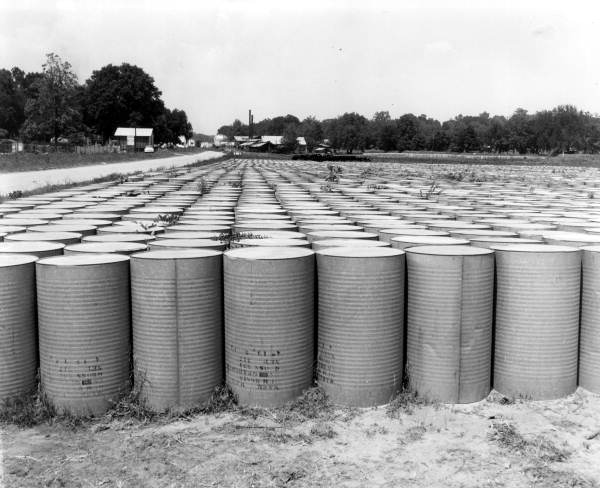 Barrels of turpentine at storage yard of Boynton's still, near Tallahassee
