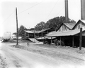 Exterior view of Boynton's still for naval stores, near Tallahassee