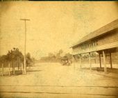 Altamonte Hotel horse-drawn tram approaching its shed at the train depot.