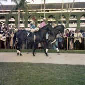 Jockey Jesus Rodriguez with "Sir Sir" at the Hialeah Racetrack.
