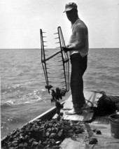 Apalachicola Fish and Oyster Company employee Captain Laurence White tonging oysters aboard the "Mary Ann" - Apalachicola, Florida.