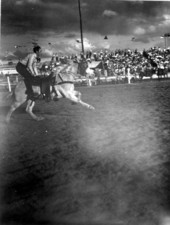 Bobby Boulter during the trick riding exhibit - Lakeland, Florida