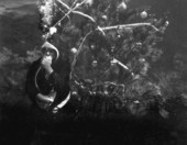 Santa (Newton Perry) waits for a mermaid - Weeki Wachee, Florida.