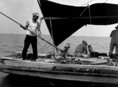 Captain Laurence White tonging oysters from aboard the "Mary Ann" - Apalachicola, Florida