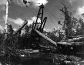 A crane loading cypress logs onto a railroad car - Copeland, Florida