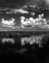 Clouds over the landscape - Everglades, Florida