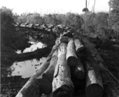 A long train loaded with cypress logs - Everglades, Florida