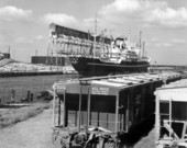 A Japanese cargo ship loading phosphates at the A.C.L. elevator of the Seddon Island dock - Port Tampa, Florida.