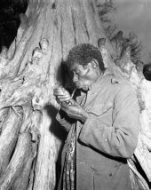 Black Seminole smokes from his pipe - Everglades, Florida.