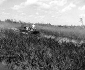 Airboat tour during an Inter-American conference - Palm Beach, Florida