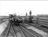 African American workers and unloaded logs in the company's lumberyard - Live Oak, Florida