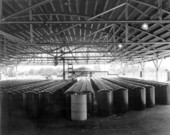 Drums of wood rosin await shipment at Gulf Naval Stores Company - Nocatee, Florida.