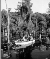 Bass fishing at Dead Lakes.