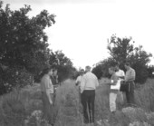Disney people inspecting property for Disney World - Lake Buena Vista, Florida