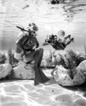 Diver and photographer at Cypress Gardens - Winter Haven, Florida