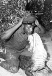 Alligator farm guide Chris Lightburn wrestling an alligator at the St. Augustine Alligator Farm