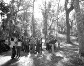 Visitors viewing the Indian mounds at Crystal River Archaeological State Park