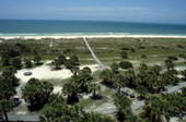 Bird's eye view overlooking part of the Caladesi Island State Park from an observation tower - Dunedin, Florida
