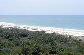 Bird's eye view overlooking a part of the Caladesi Island State Park - Dunedin, Florida