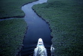 Aerial view of a boat on a river in the John Pennekamp Coral Reef State Park - Key Largo, Florida.