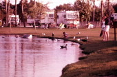 View of visitors feeding ducks near campers at the Busch Gardens amusement park - Tampa, Florida.