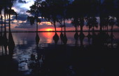 Sunset at the Cypress Gardens theme park in Winter Haven, Florida.