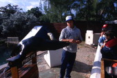 Animal trainer with performing seal at the "Theater of the Sea" marine mammal park in Islamorada, Florida.