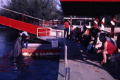 Audience watching dolphin performing with an animal trainer at the "Theater of the Sea" marine mammal park in Islamorada, Florida.