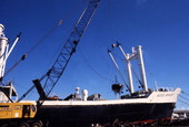 Aegis Bravery loading or unloading scrap metal at Port Everglades, Florida.