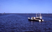 Oyster boats near the fishing village of Eastpoint near Apalachicola, Florida.