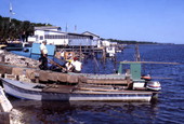 Small private oyster boats at the fishing village of Eastpoint near Apalachicola, Florida.