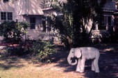 View showing elephant sculpture at the back of the historic home of Mary McLeod Bethune in Daytona Beach, Florida.