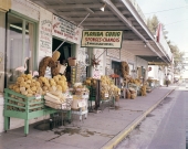 Sponges on display in front of the Florida Curio gift shop in Tarpon Springs.