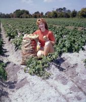 Miss potato queen Susan Deen posing in a field with a sack of potatoes.