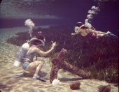 Women scuba diving in Florida.