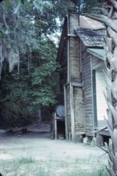 Stick and dirt chimney - Wakulla County, Florida