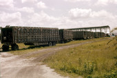 Abandoned circus cars of Ringling Brothers Barnum and Bailey Combined Shows in Sarasota.