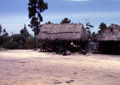 Susie Billie's camp east of Naples.