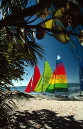 Hobie Cat sailboats on Smathers Beach at the end of South Roosevelt Boulevard - Key West, Florida