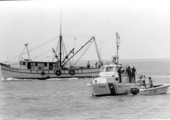 Coast Guard cutter inspecting Metamorphosis returning from Mariel, Cuba with refugees - Key West, Florida.