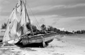 Haitian refugee boat washed up on shore at the Naval Air Station Truman Annex Housing beach..