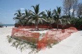 African American cemetery - Higgs Beach..