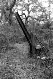 Device used in turpentining industry.