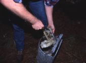 Kent Ramsey demonstrating turpentine techniques in Bethlehem.