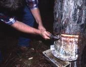 Kent Ramsey demonstrating turpentine techniques in Bethlehem.